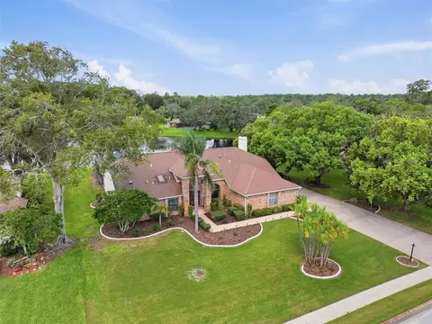 View/Area - 4311 River Birch Dr, Spring Hill, FL 34607 photo 21 of 22