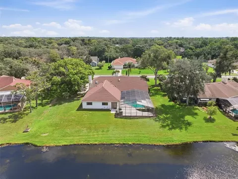 View/Area - 4311 River Birch Dr, Spring Hill, FL 34607 photo 5 of 22