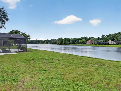 View/Area - 4311 River Birch Dr, Spring Hill, FL 34607 photo 6 of 22