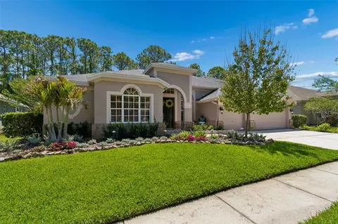 10423 Greenhedges Dr, Tampa, FL 33626