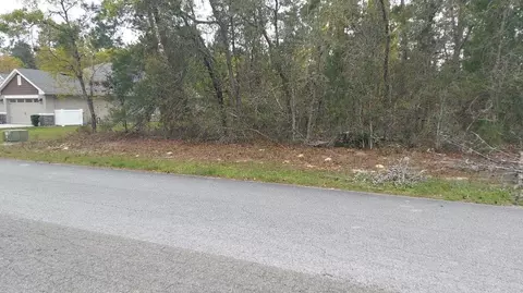 3 Tall Marigolds Ct, Homosassa, FL 34446