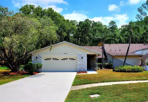 3529 Tanglewood Trl, Palm Harbor, FL 34685
