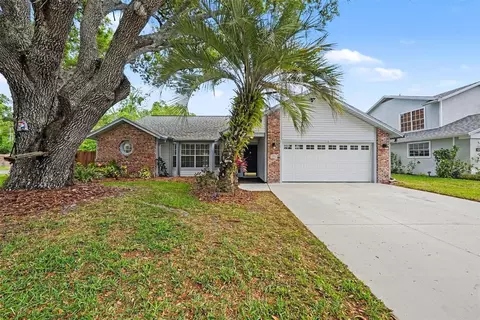 6202 Boone Dr, Tampa, FL 33625