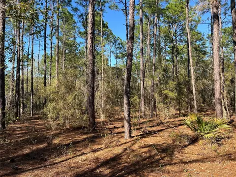 4061 N Little Dove Ter, Hernando, FL 34442