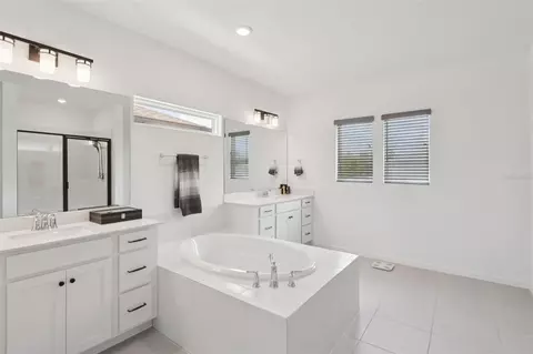 Bath - 11473 Owasee Trails Pl, Riverview, FL 33569 photo 3 of 6