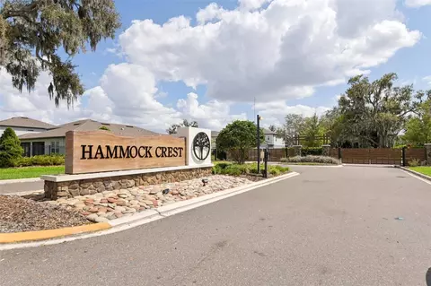 View/Area - 11473 Owasee Trails Pl, Riverview, FL 33569 photo 1 of 2