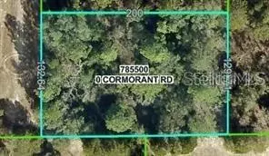 13408 Cormorant Rd, Brooksville, FL 34614