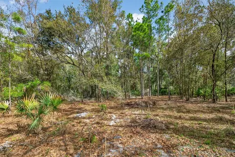11803 Dog Hollow Ln, Lithia, FL 33547