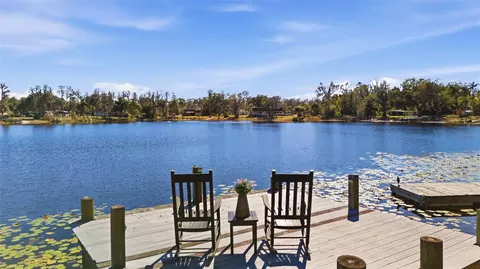 9214 Rhea Dr, Odessa, FL 33556