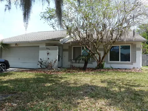 807 Jacaranda Dr, Oldsmar, FL 34677