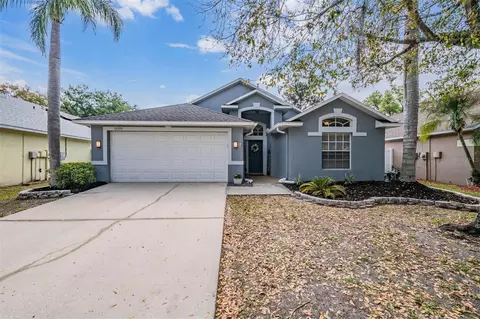 18955 Wood Sage Dr, Tampa, FL 33647