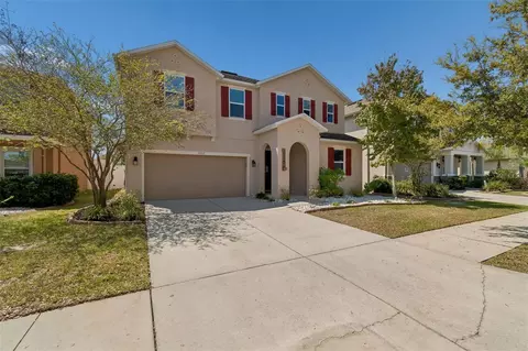 Exterior - 10517 Massimo Dr, Wimauma, FL 33598 photo 3 of 18