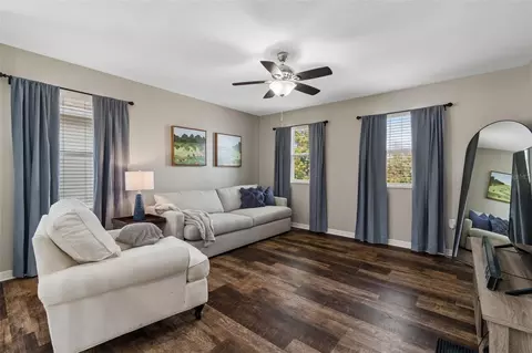 Living - 10517 Massimo Dr, Wimauma, FL 33598 photo 5 of 6
