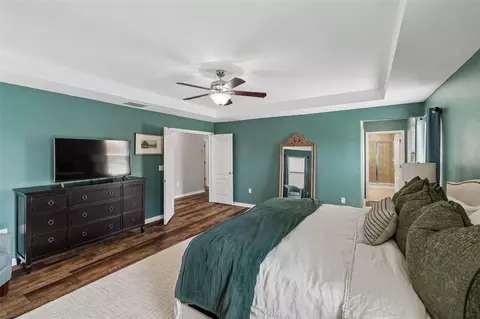 Other - 10517 Massimo Dr, Wimauma, FL 33598 photo 7 of 10
