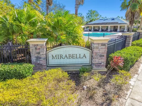 View/Area - 10517 Massimo Dr, Wimauma, FL 33598 photo 16 of 25