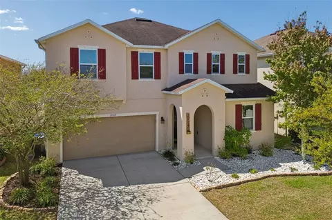 Exterior - 10517 Massimo Dr, Wimauma, FL 33598 photo 12 of 18