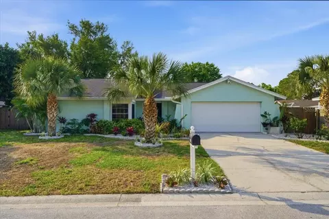 4510 Whitworth Ln, Tampa, FL 33624