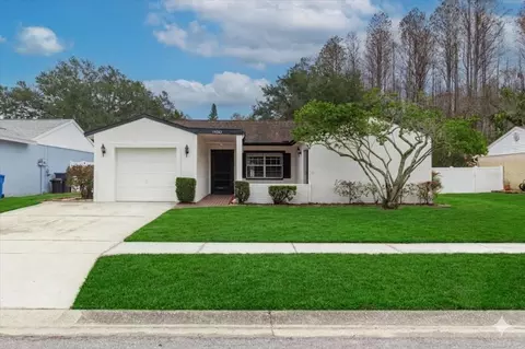 14003 Basin St, Tampa, FL 33625