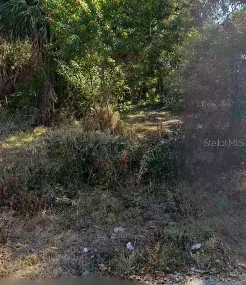S Tampa Avenue, Orlando, FL 32839