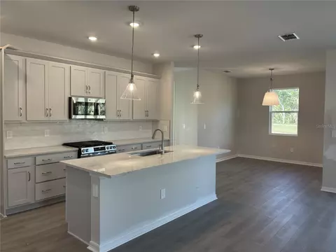 Kitchen - 10029 Hidden Hammock Loop, Parrish, FL 34219 photo 2 of 2