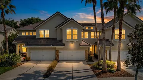 14520 Mirabelle Vista Cir, Tampa, FL 33626
