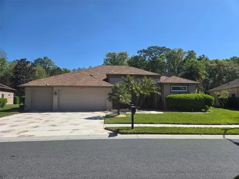 21154 Tangor Rd, Land O Lakes, FL 34637