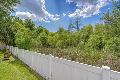 Exterior - 1535 Stipule Ct, Trinity, FL 34655 photo 2 of 10