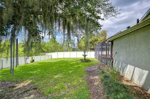 Exterior - 1535 Stipule Ct, Trinity, FL 34655 photo 8 of 10