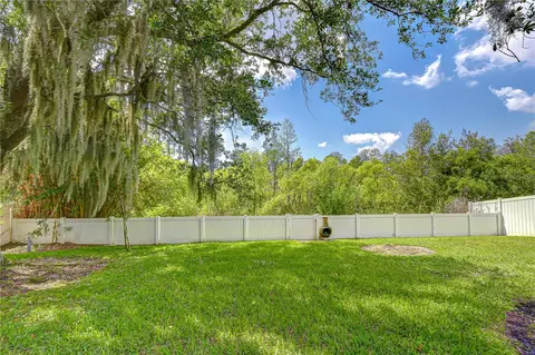 Exterior - 1535 Stipule Ct, Trinity, FL 34655 photo 9 of 10