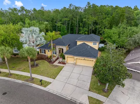 16750 Ivy Lake Dr, Odessa, FL 33556