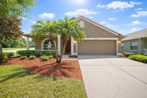 30142 Sotogrande Loop, Wesley Chapel, FL 33543