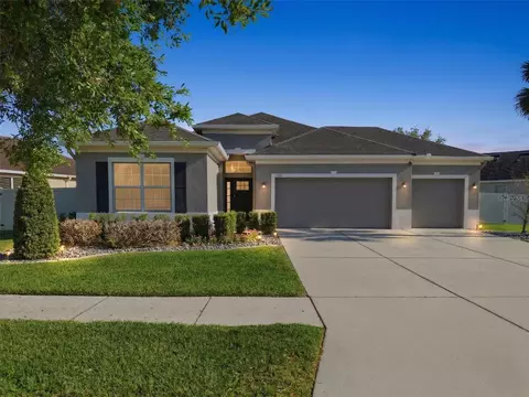 11133 Wembley Landing Dr, Lithia, FL 33547