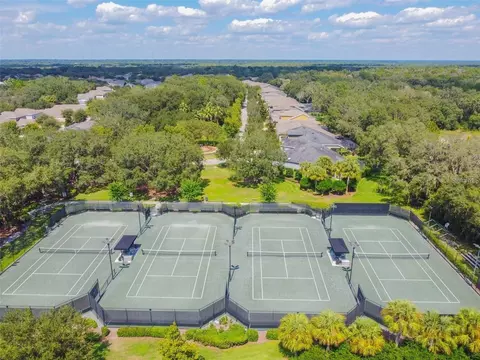 View/Area - 5117 Longspur Ct, Lithia, FL 33547 photo 2 of 2