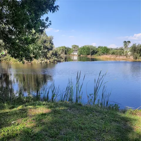 10502 Hinds Pl, Odessa, FL 33556