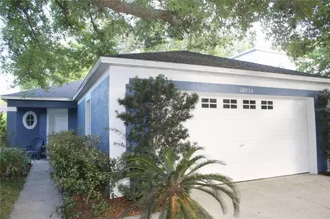 18035 Birdwater Dr, Tampa, FL 33647