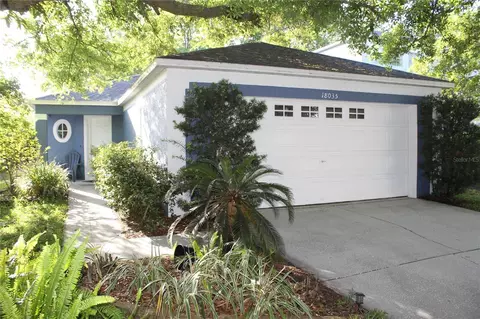 18035 Birdwater Dr, Tampa, FL 33647