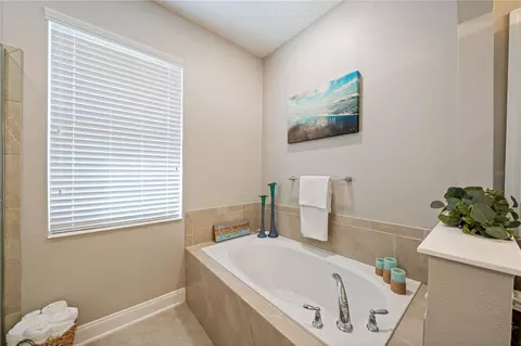 Bath - 1110 Umbria Ln, Saint Cloud, FL 34771 photo 2 of 9