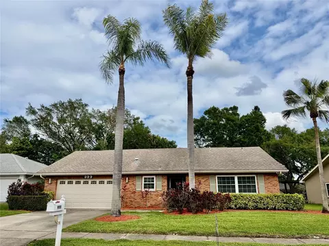 999 Gillespie Dr, Palm Harbor, FL 34684