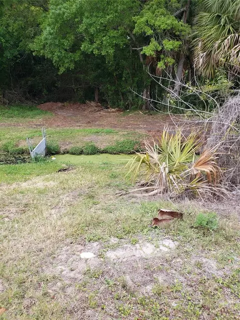 Grosse Avenue, Tarpon Springs, FL 34689