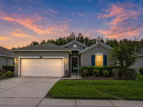 3839 Grecko Dr, Wesley Chapel, FL 33543