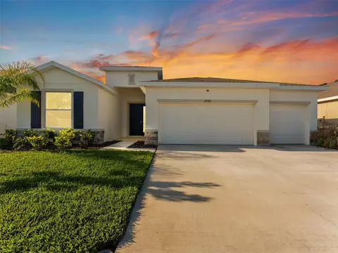 33700 Hamilton Hill Ln, Wesley Chapel, FL 33545