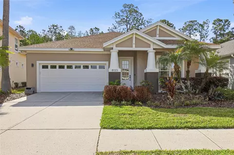 8123 Camella Ln, Tampa, FL 33647