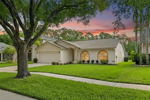 13010 Royal George Ave, Odessa, FL 33556
