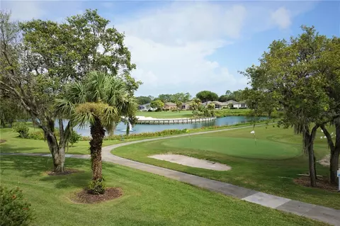 View/Area - 11636 Spindrift Loop, Hudson, FL 34667 photo 2 of 5