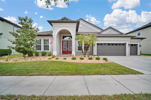 32697 Natural Bridge Rd, Wesley Chapel, FL 33543