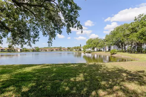 View/Area - 207 Cypress Ln, Oldsmar, FL 34677 photo 1 of 2