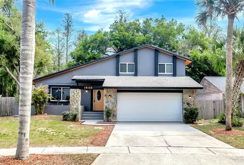 16133 Ravendale Dr, Tampa, FL 33618