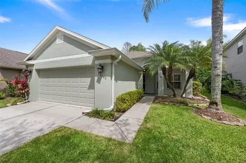 10245 Woodford Bridge St, Tampa, FL 33626