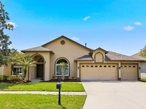 10017 Oxford Chapel Dr, Tampa, FL 33647