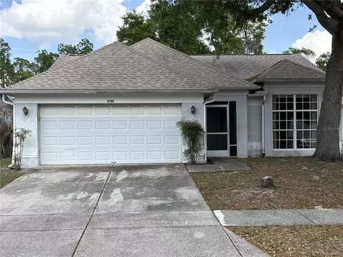 4704 Lighterwood Way, Valrico, FL 33596